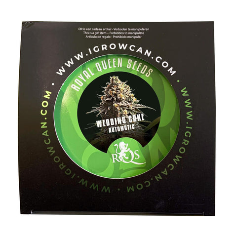 Royal Queen Seeds IGrowCan Growing Kit - THWC Ltd